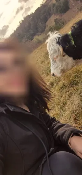 Molly, 38